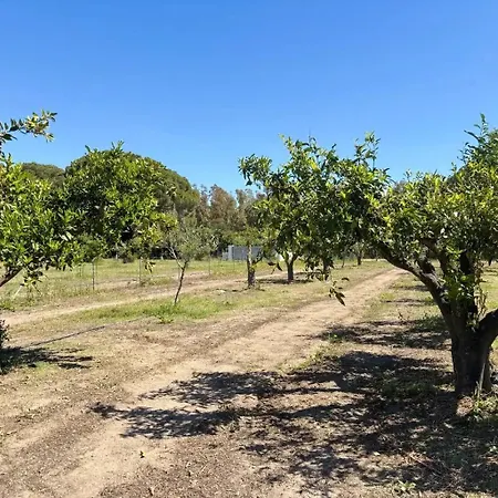Fungardi La Caletta
